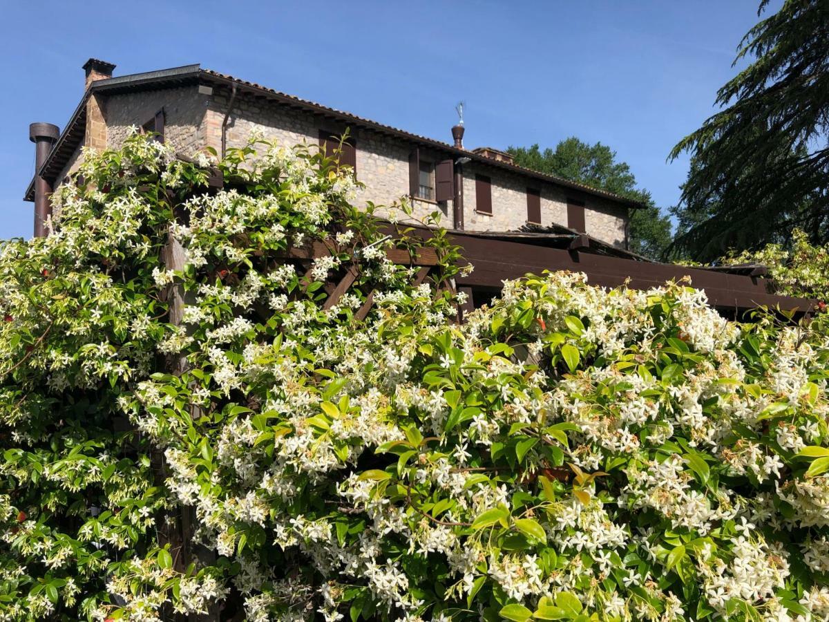 Вілла Agriturismo Beata Vanna Фабро Екстер'єр фото