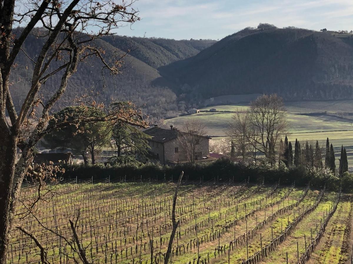 Вілла Agriturismo Beata Vanna Фабро Екстер'єр фото